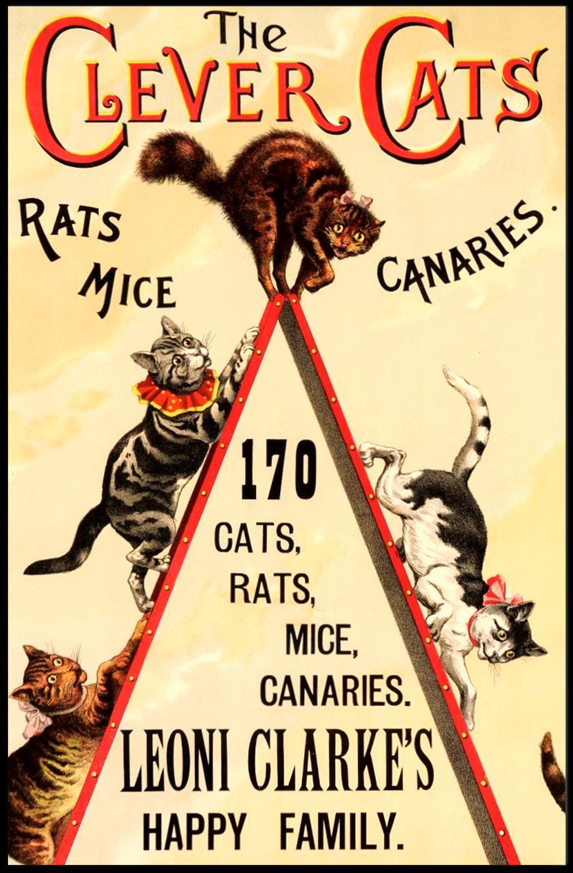 The Clever Cats Vintage Performance Animal Poster
