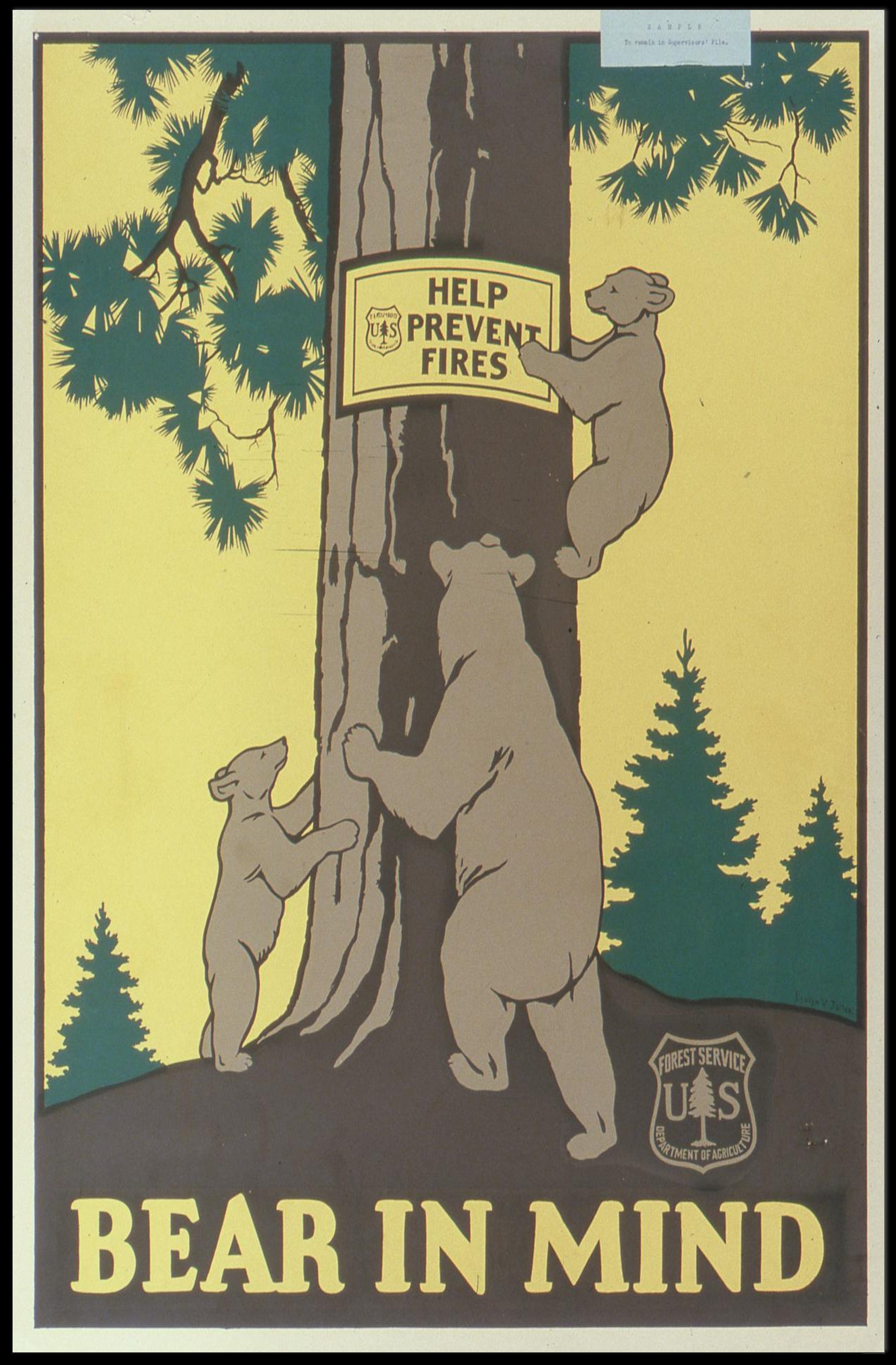 Bear in Mind: Prevent Forest Fires Poster PosterGoat