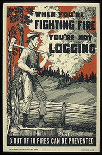 Forest Conservation Fire Prevention Propaganda Poster