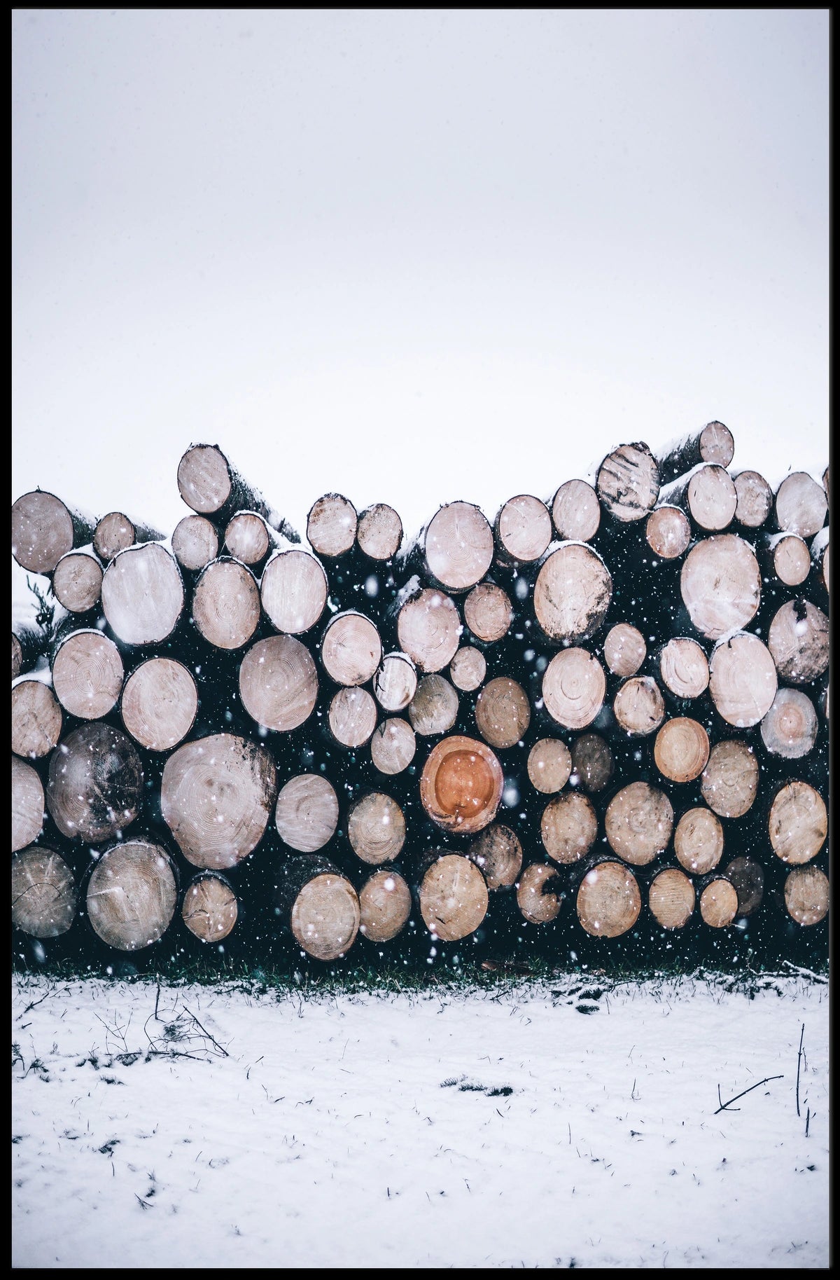 Winter Log Pile Poster