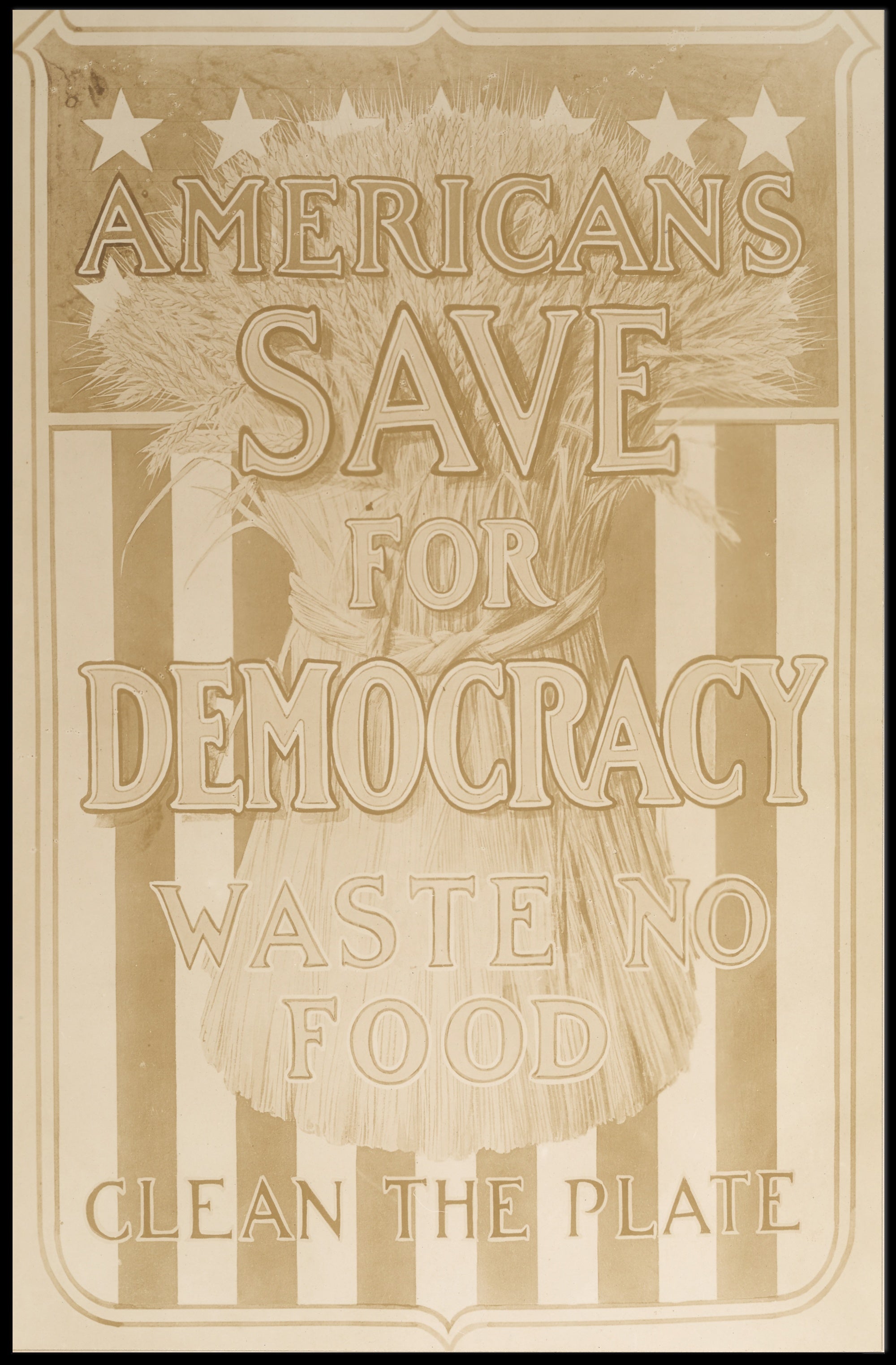 Save for Democracy Patriotic World War I Propaganda Poster PosterGoat