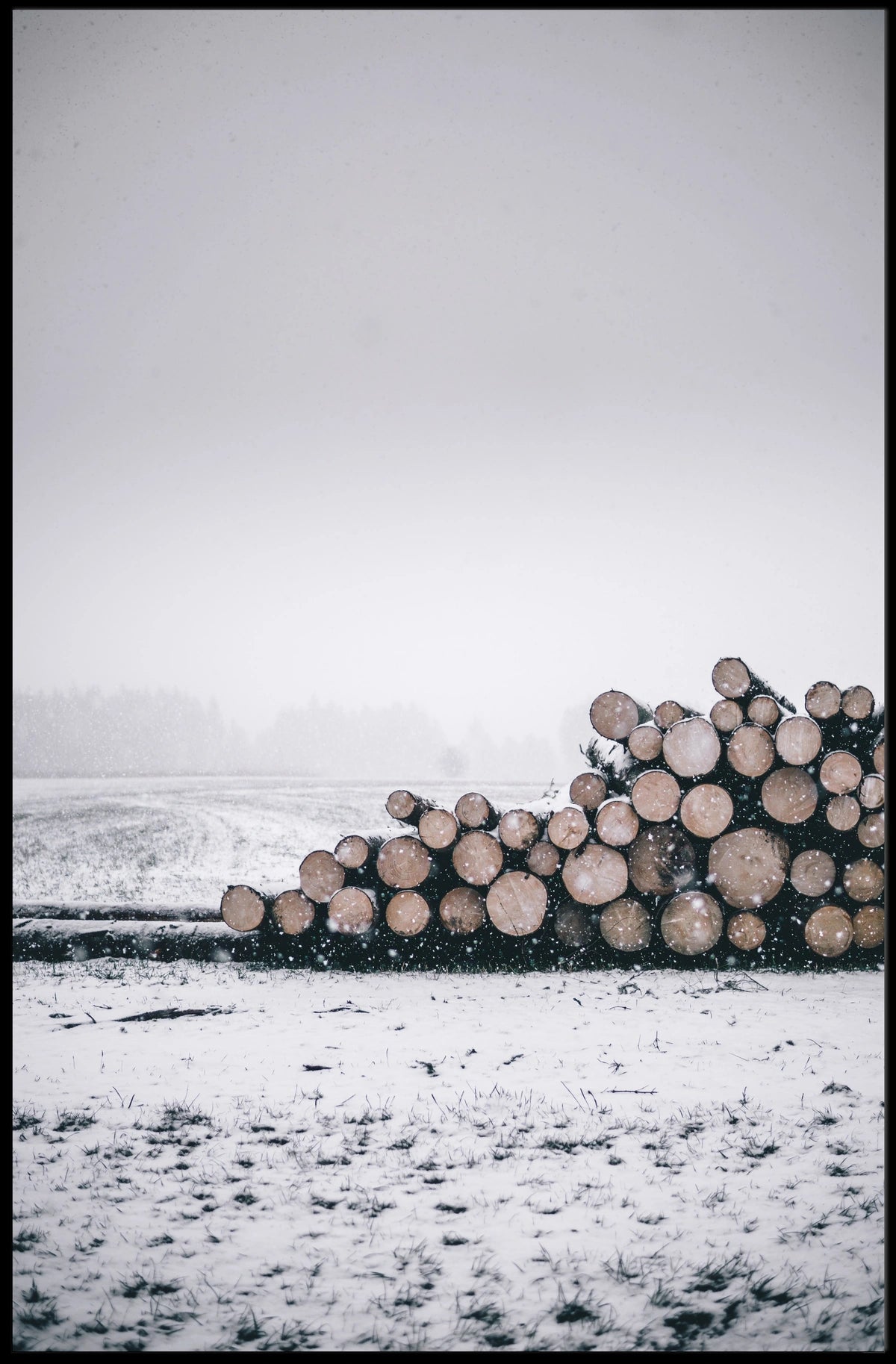 Serene Winter Timber Scene National Park Poster