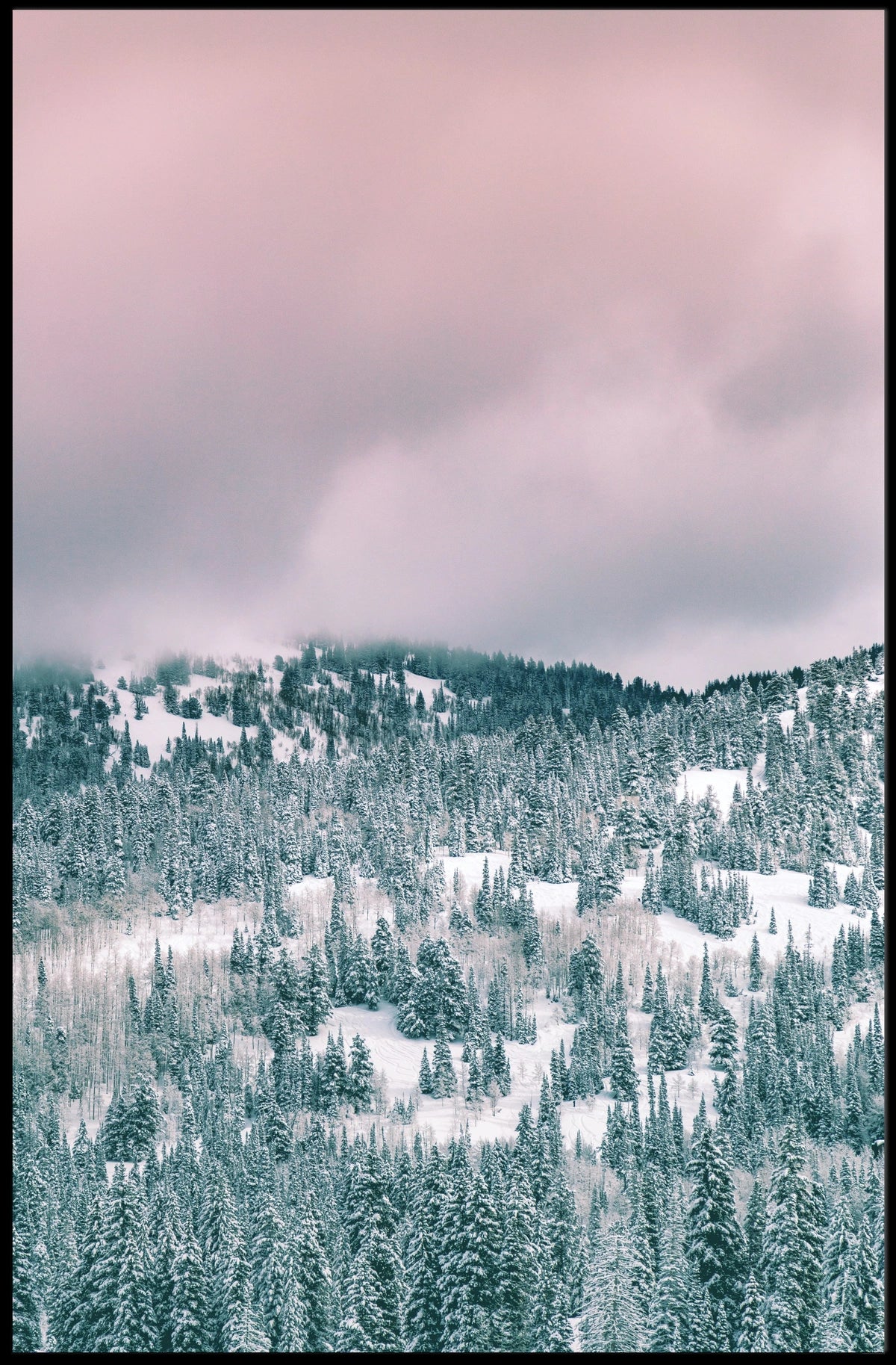 Winter Wonderland Landscape with Serene National Park Poster