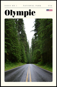 Olympic National Park Poster Vintage Travel Print