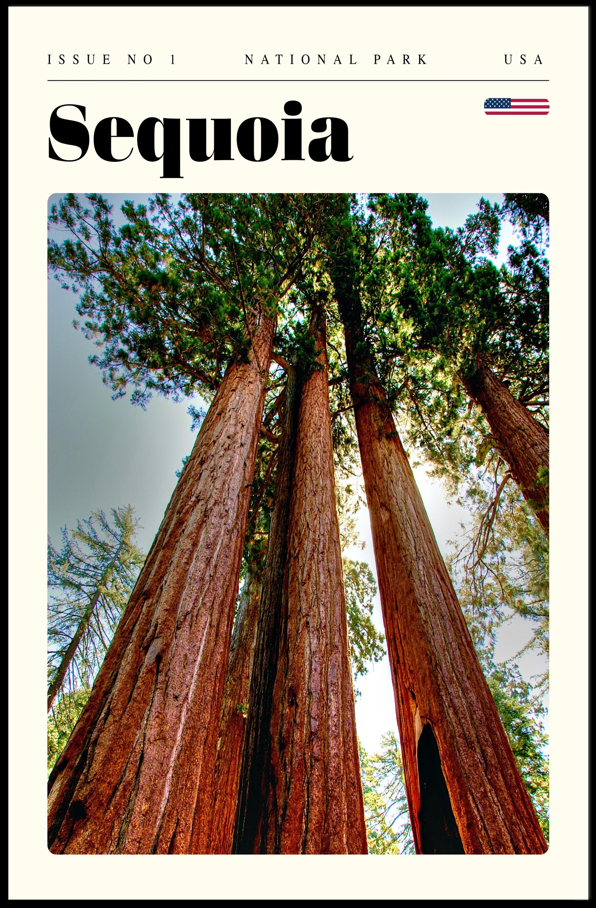 Sequoia National Park Poster Vintage Travel Print