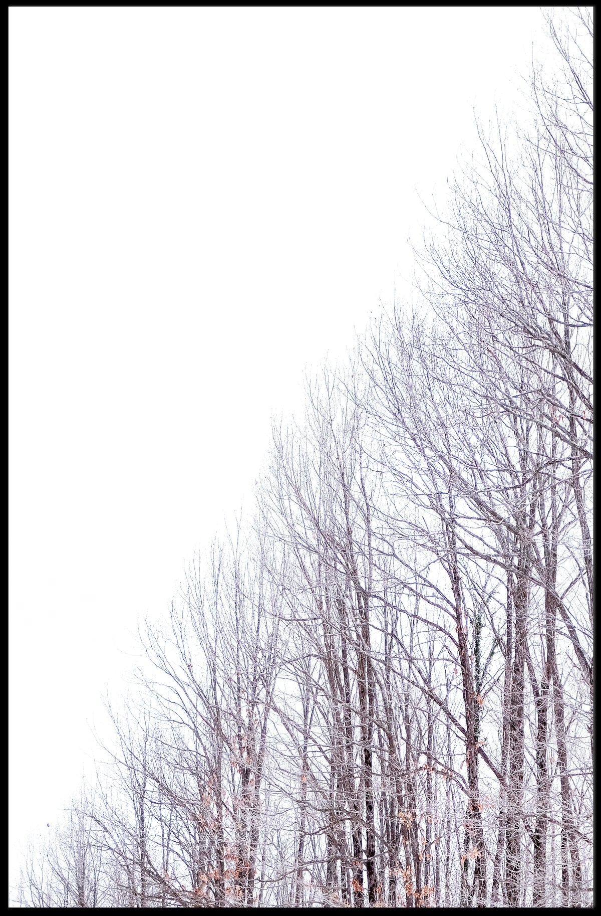 WinterS Embrace Poster