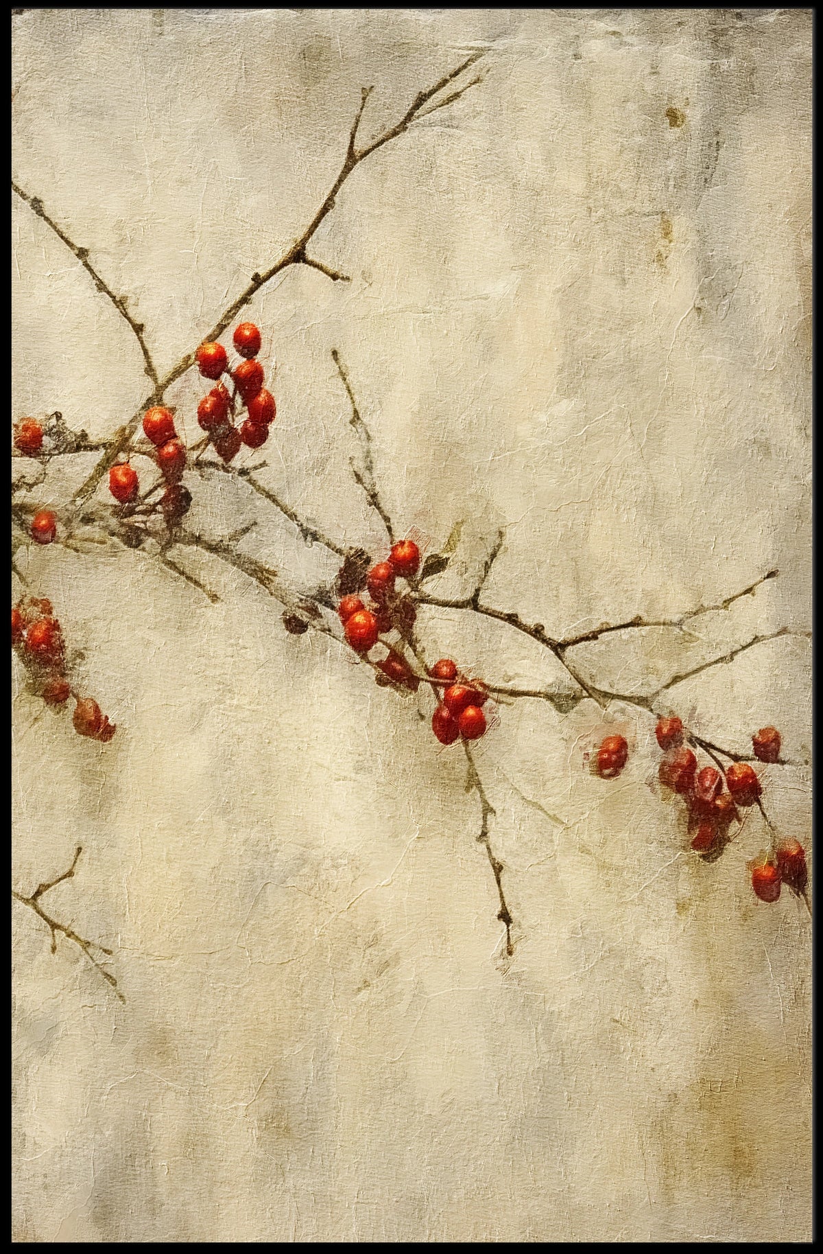 Winter Berries Poster