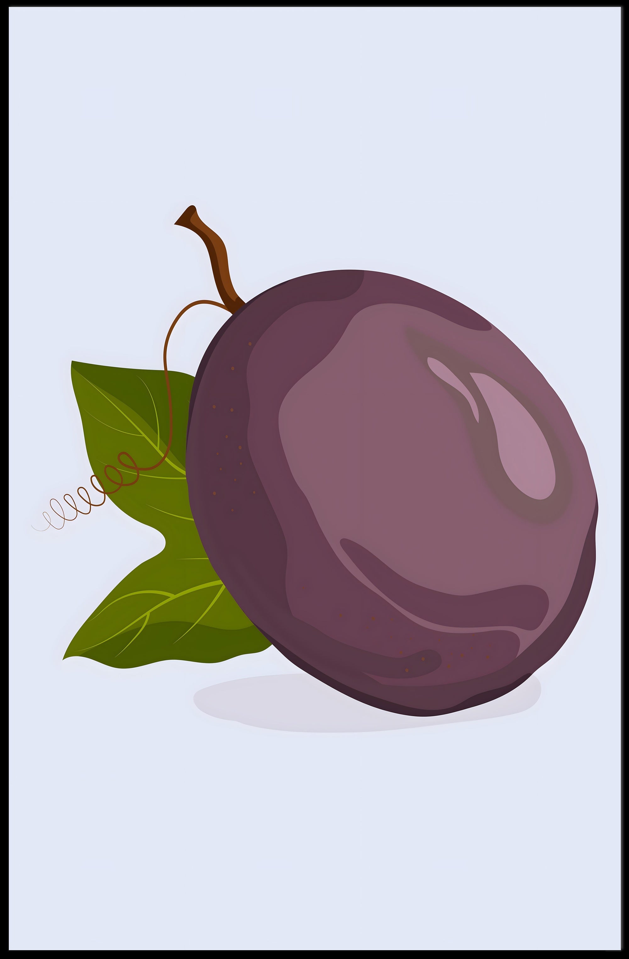 Plum Illustration Poster