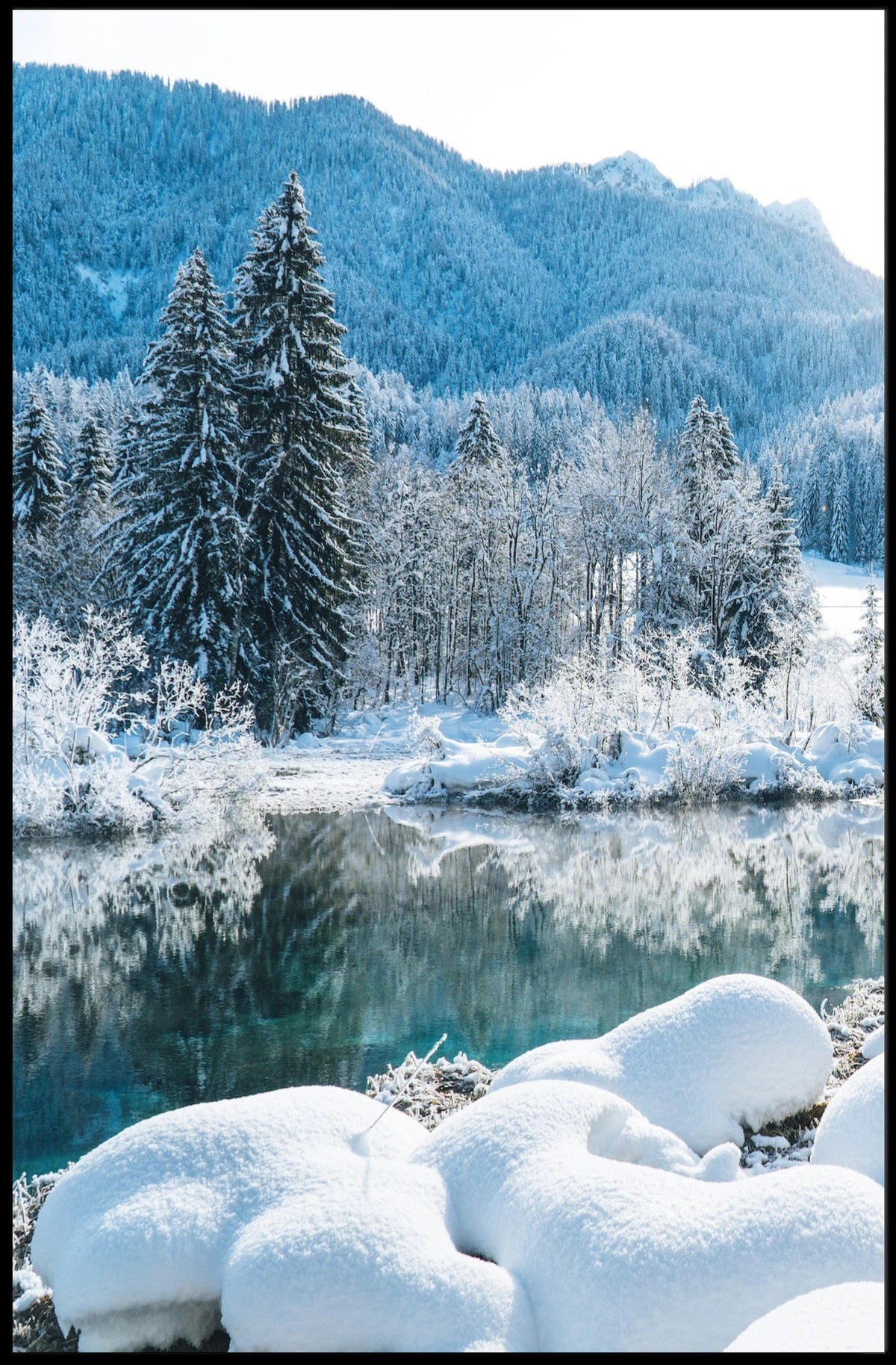 Winter Serenity in a National Park Poster