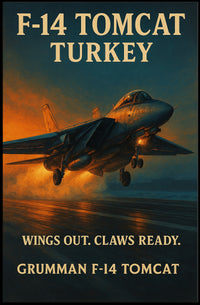 F-14 Tomcat Fighter Jet Poster