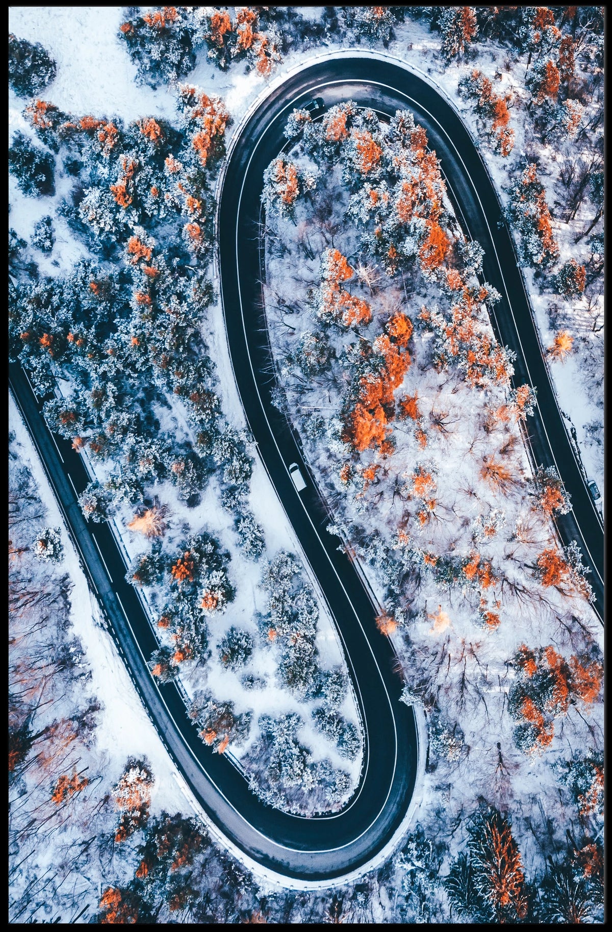 Serpentine Winter Road Poster