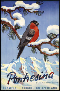 Vibrant Bullfinch Snowy Swiss Landscape Travel Poster PosterGoat