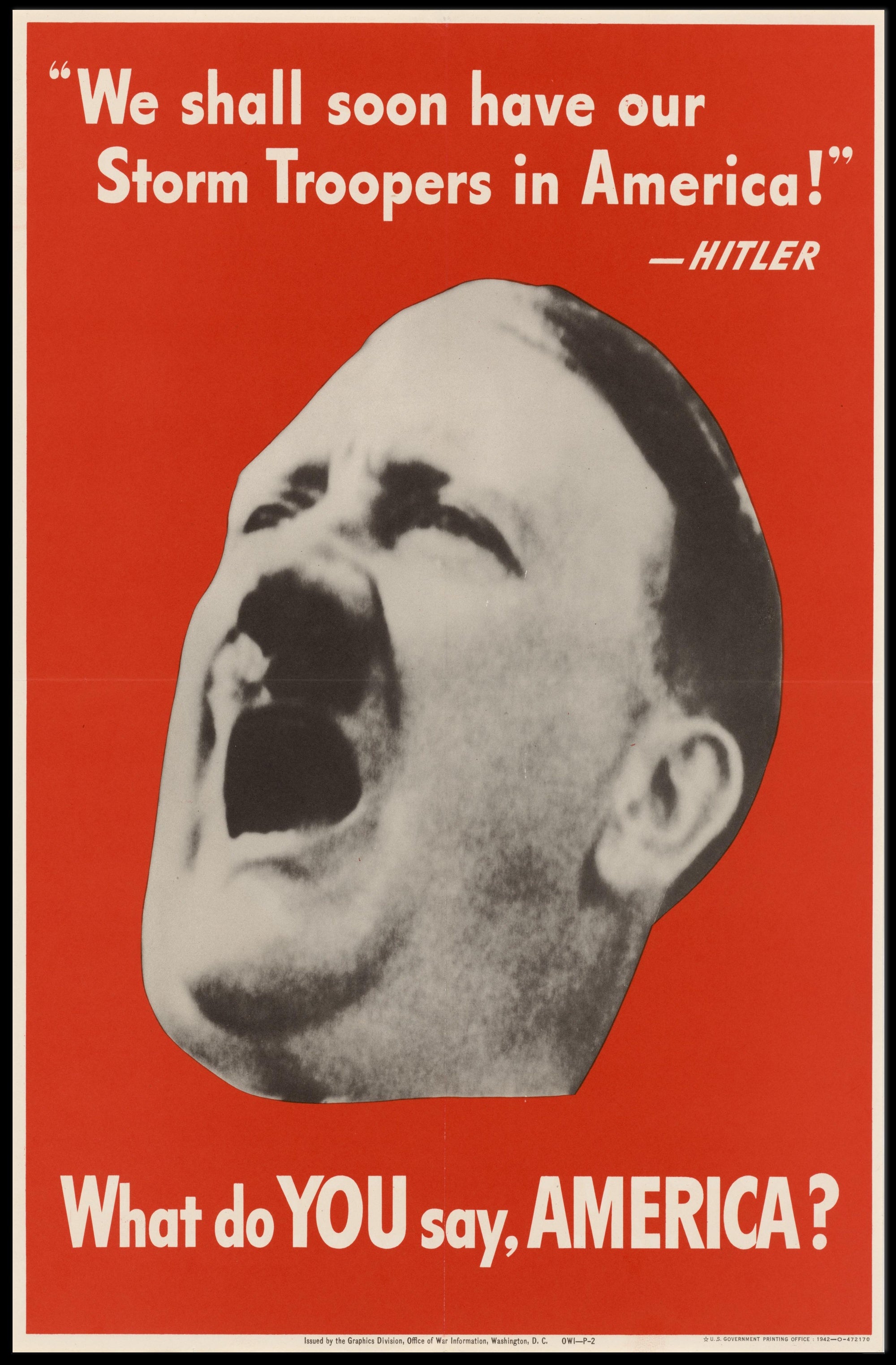 Call to Action for America Poster PosterGoat