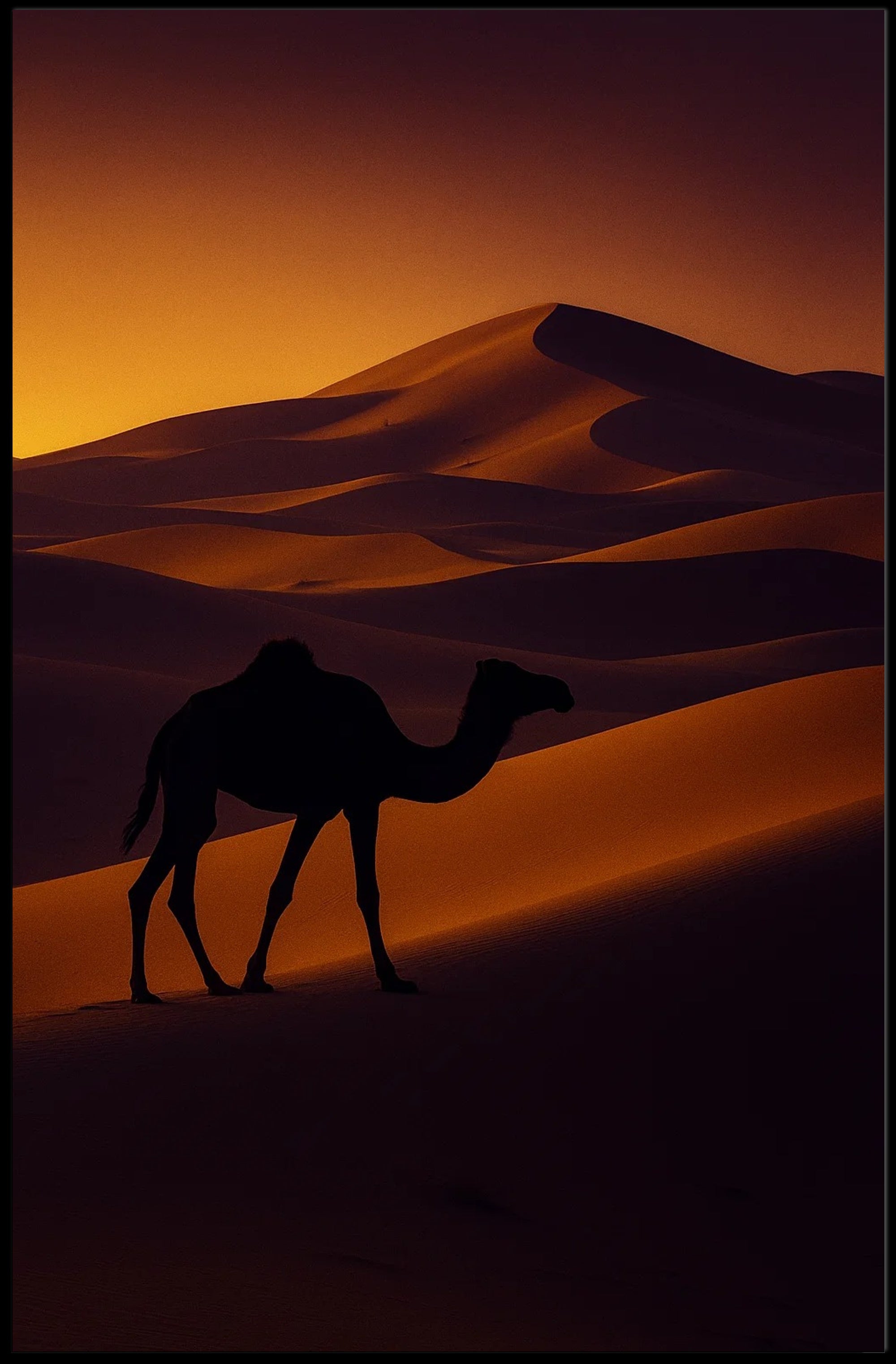 Camel Silhouette at Sunset Travel Poster