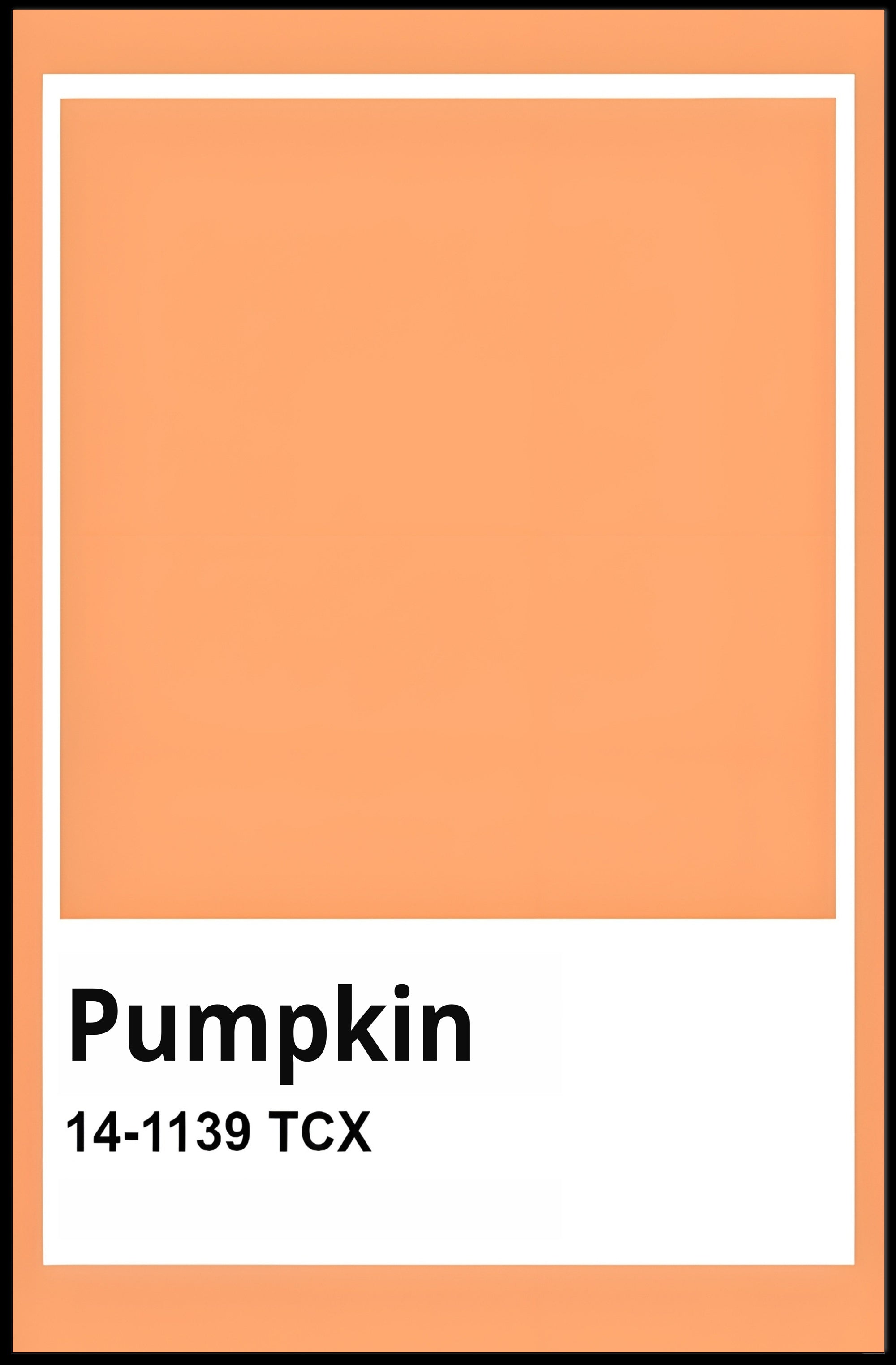 Minimalist Pumpkin Color Swatch Modern Artistic Poster PosterGoat