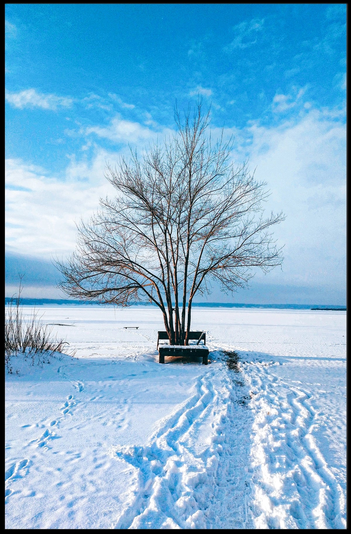 Winter Serenity Poster