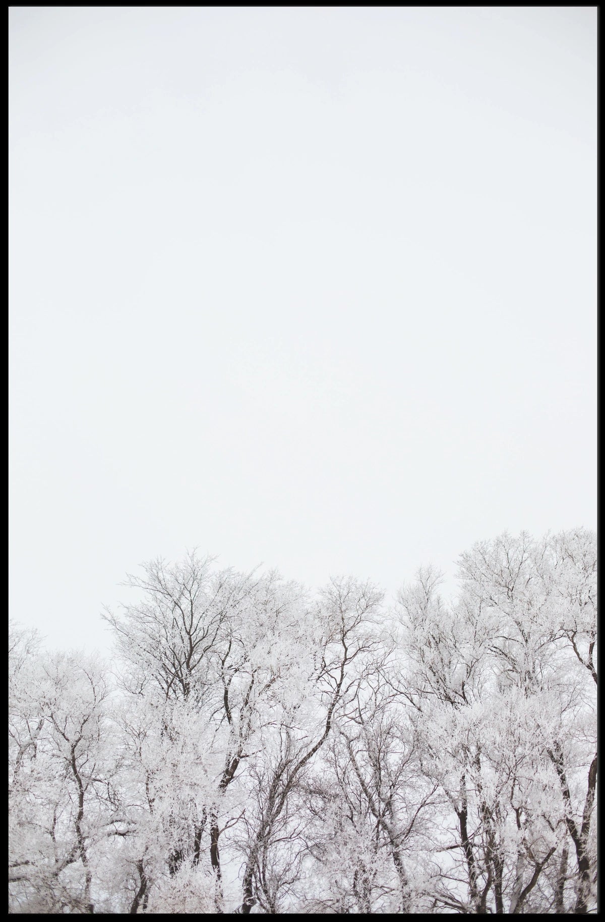 Serene Winter Landscape: Artistic and Minimalist Poster