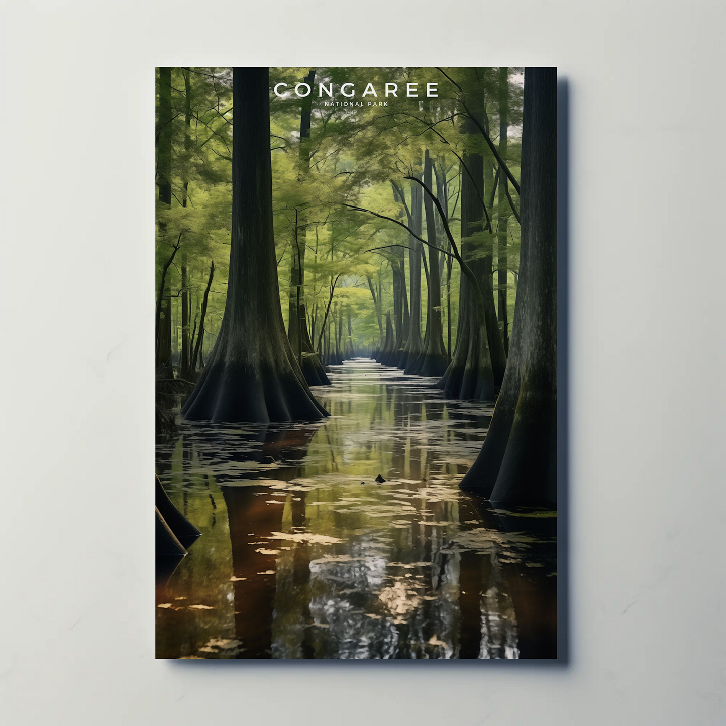 Congaree National Park