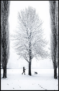 Winter Serenity: Dog Walker in Snowy Landscape