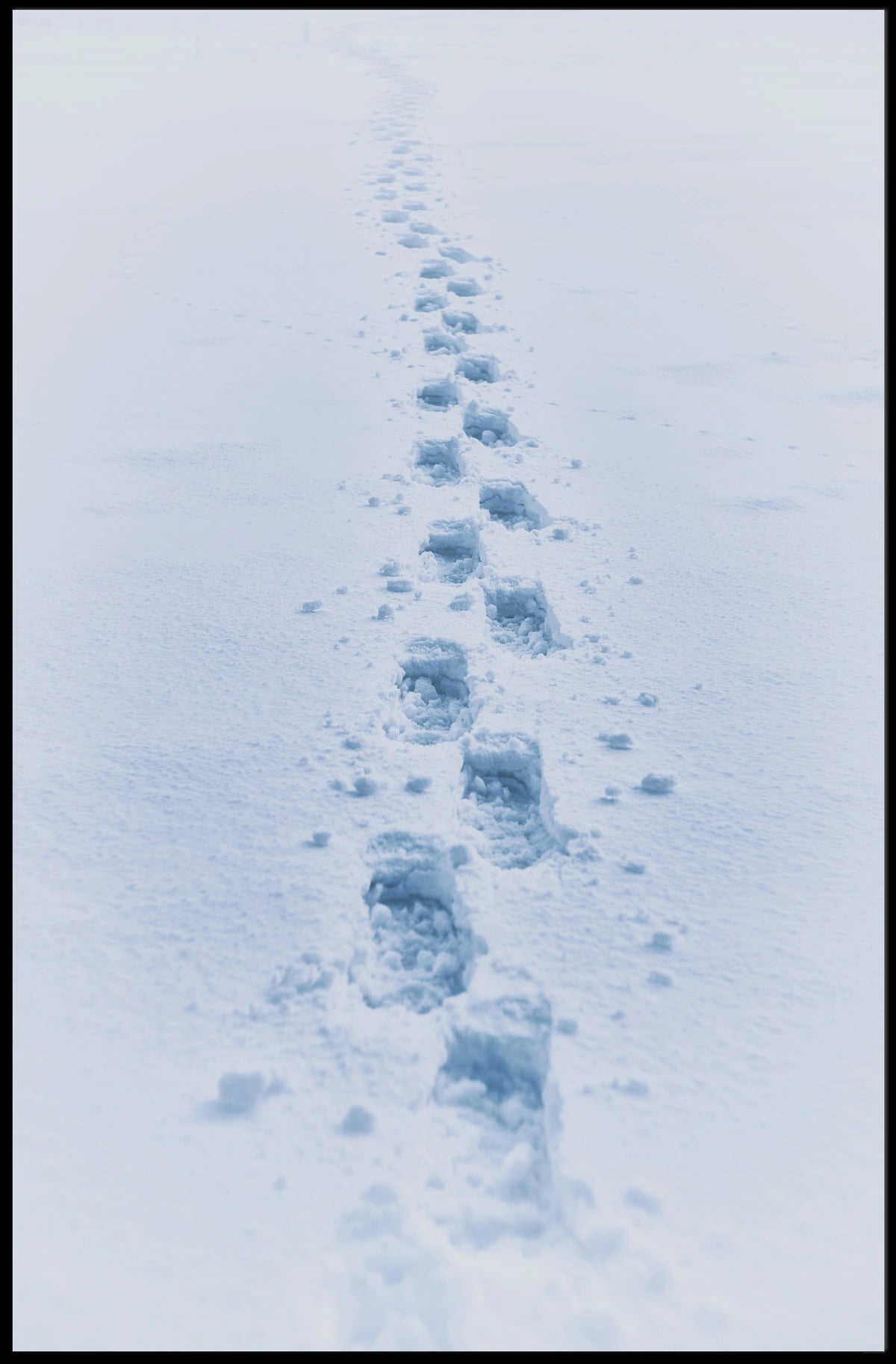 Winter Wilderness Footprints Landscape Poster - Abstract or Artistic Poster
