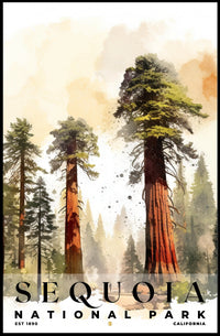 Sequoia Watercolor Wall Art Poster