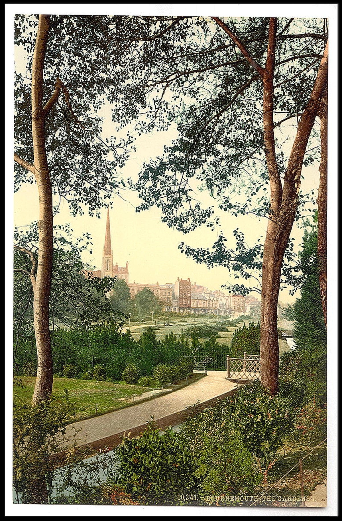 Scenic Landscape With Pathway Poster
