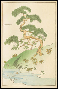 Tranquil Nature Scene Poster