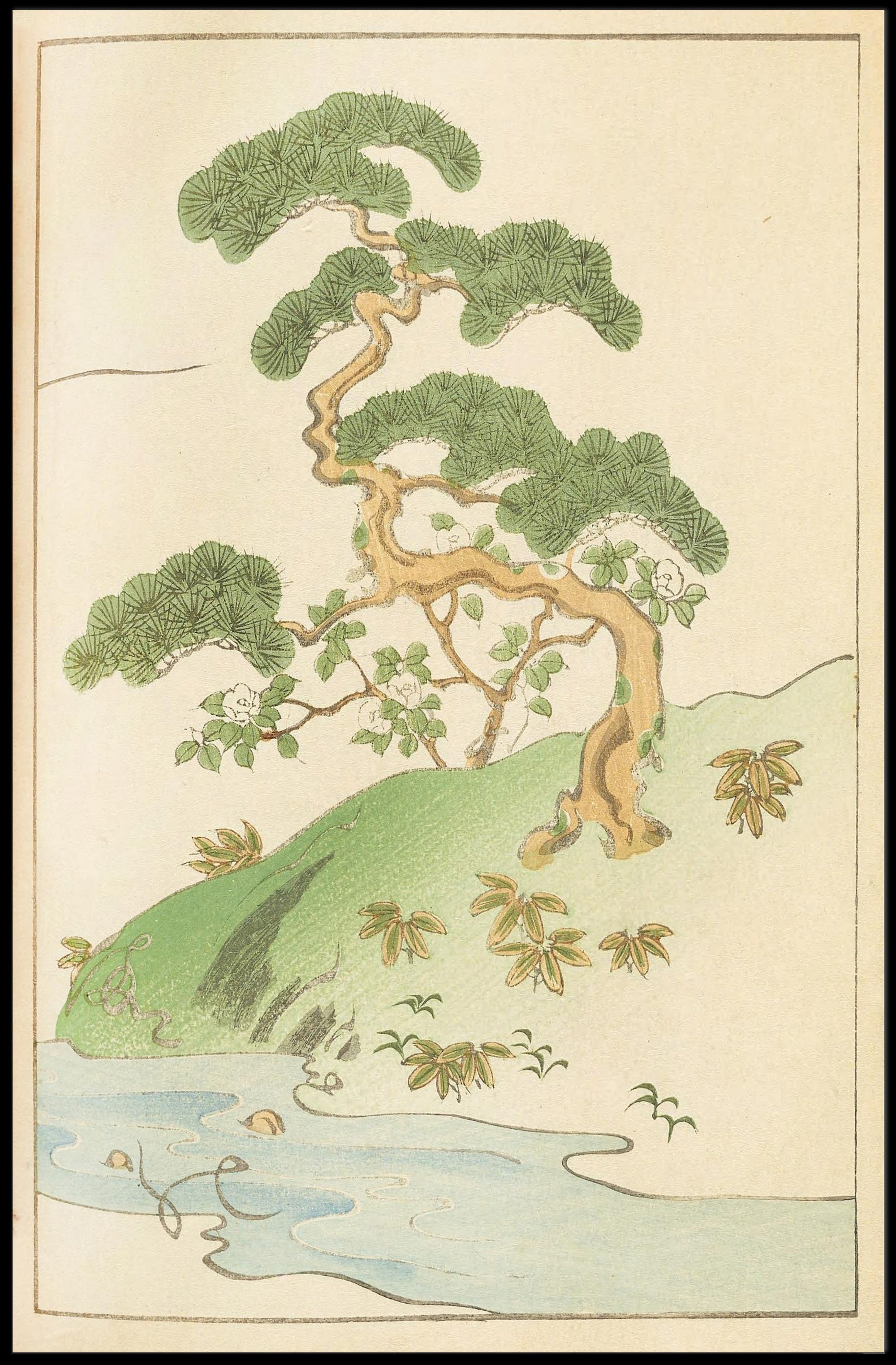 Tranquil Nature Scene Poster