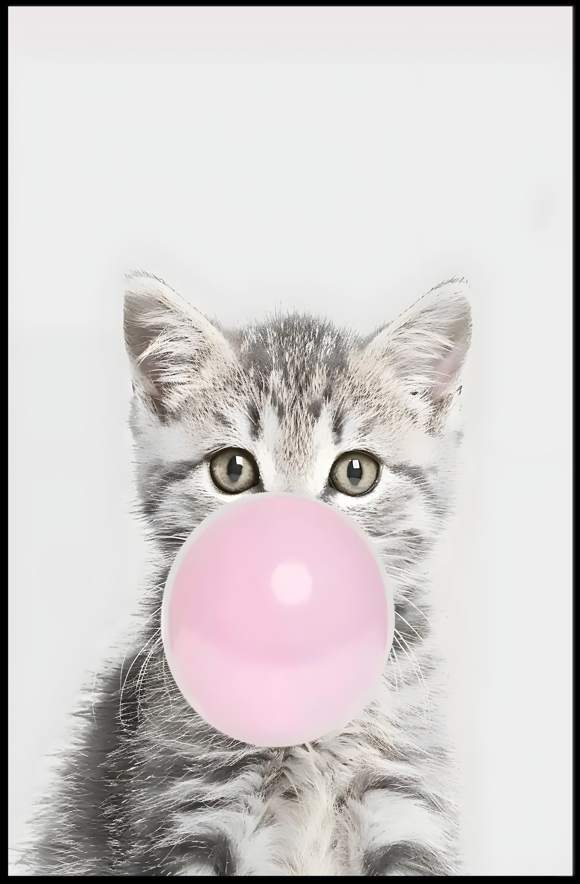 Bubblegum Kitten Poster
