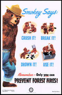 Smokey Bear's Fire Prevention Message Poster PosterGoat