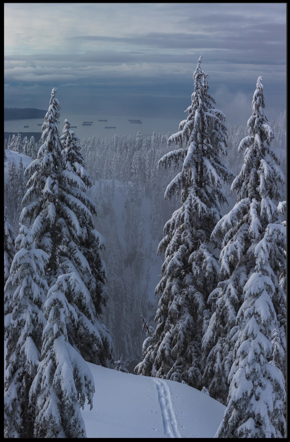 Serene Winter Landscape with Ski Tracks National Park Poster