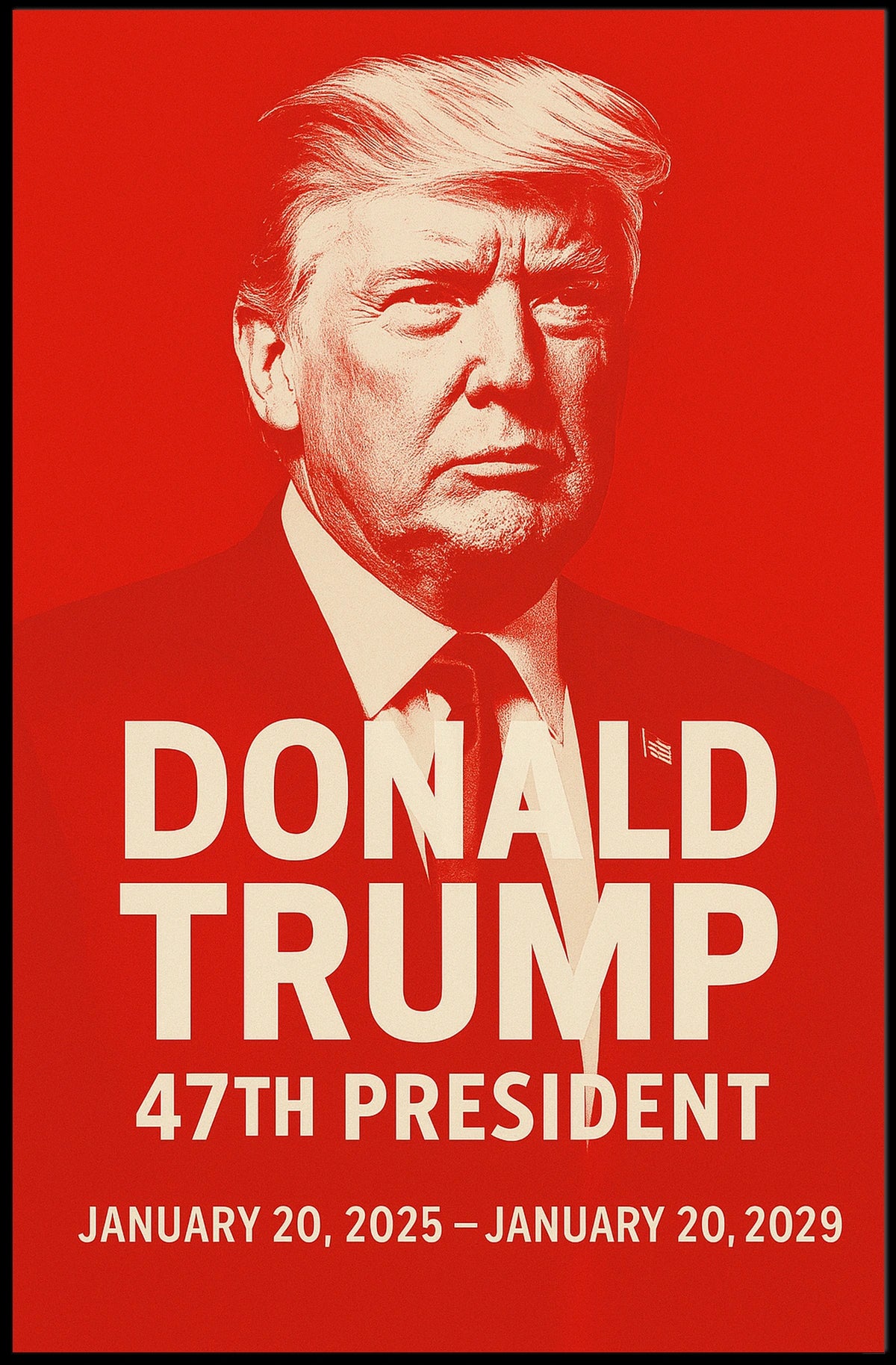 Donald Trump 47th President Poster