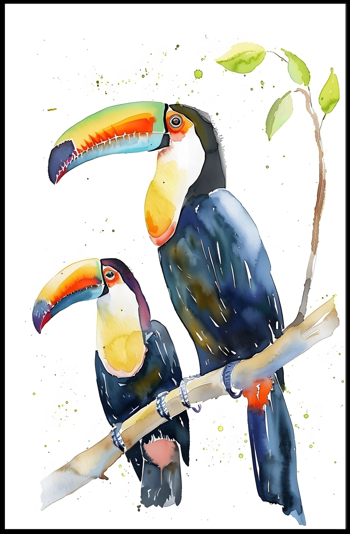 Vibrant Toucans Poster