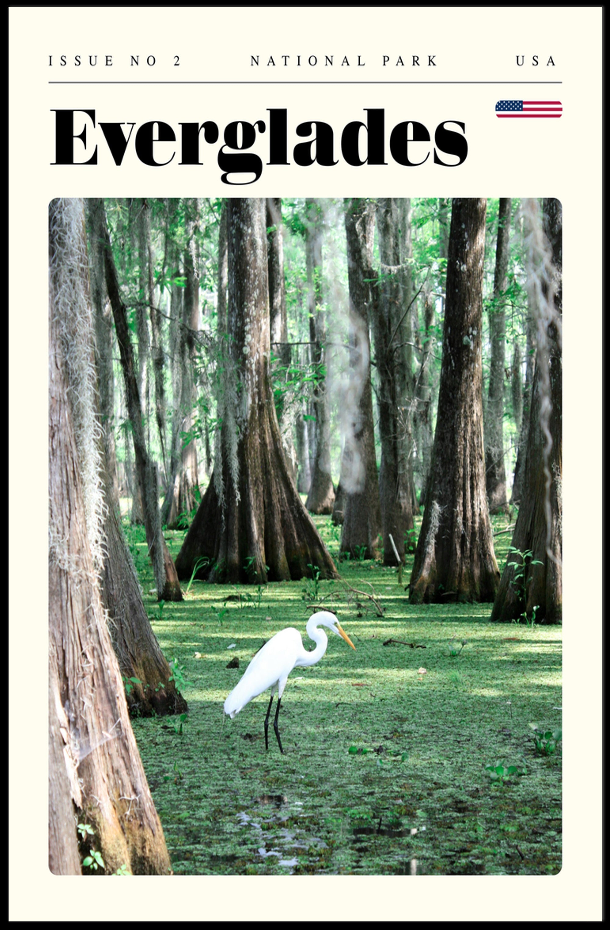 Everglades National Park Travel Poster Scenic Print