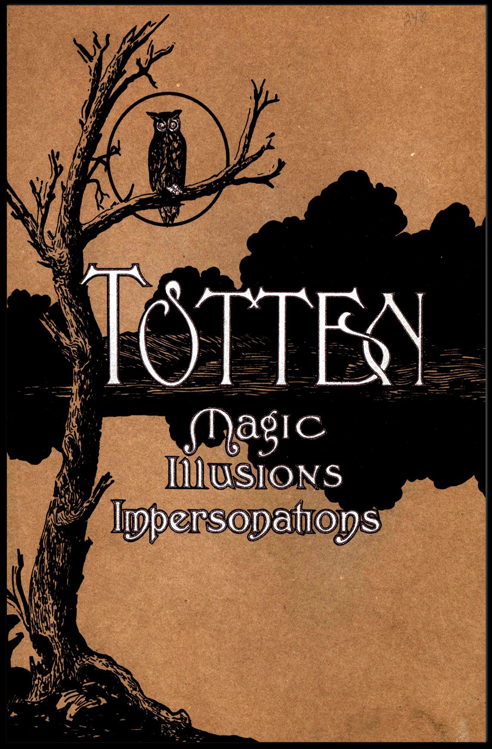 Magic and Mystery Vintage Artistic Illusion Poster