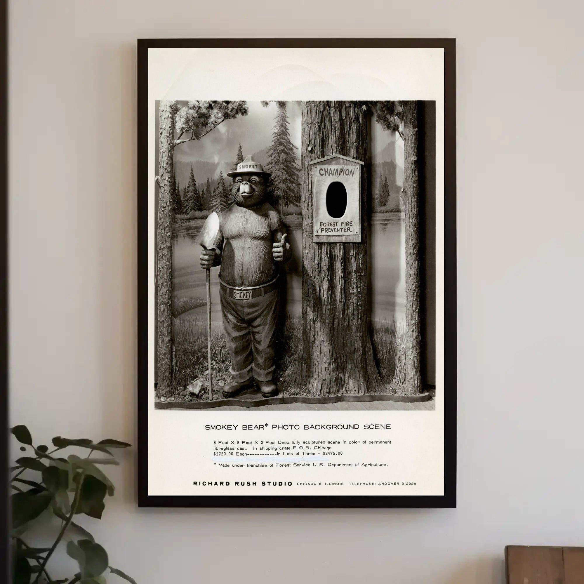 Smokey Bear Photo Background Scene Poster PosterGoat