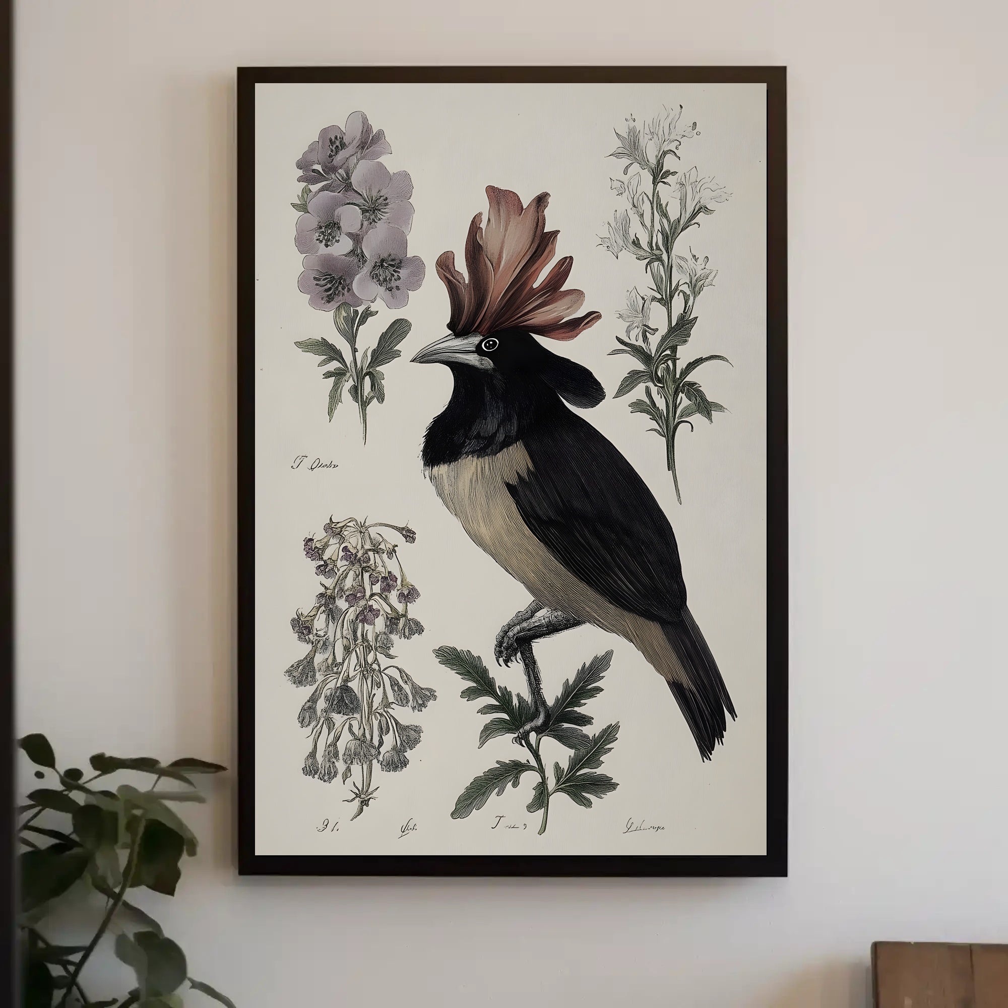 Vintage Botanical Bird Illustration Educational or Infographic Poster PosterGoat