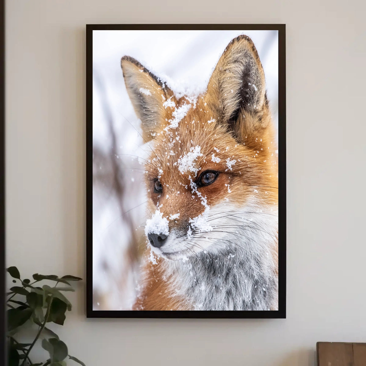 Winter Fox Poster