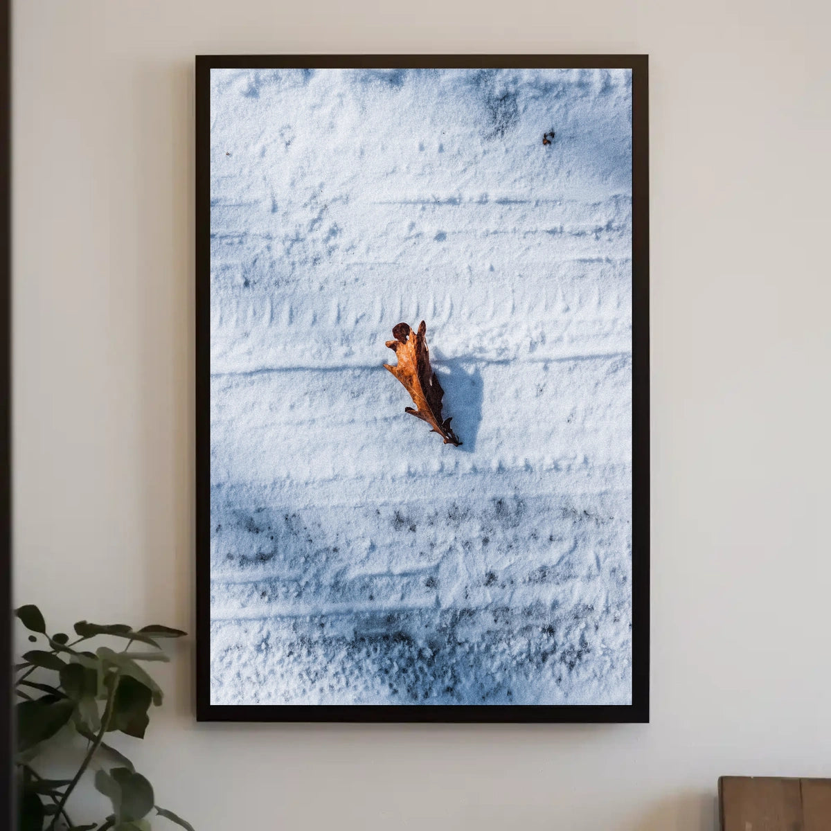 Solitary Leaf On Snow Poster