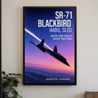 SR-71 Blackbird Poster PosterGoat