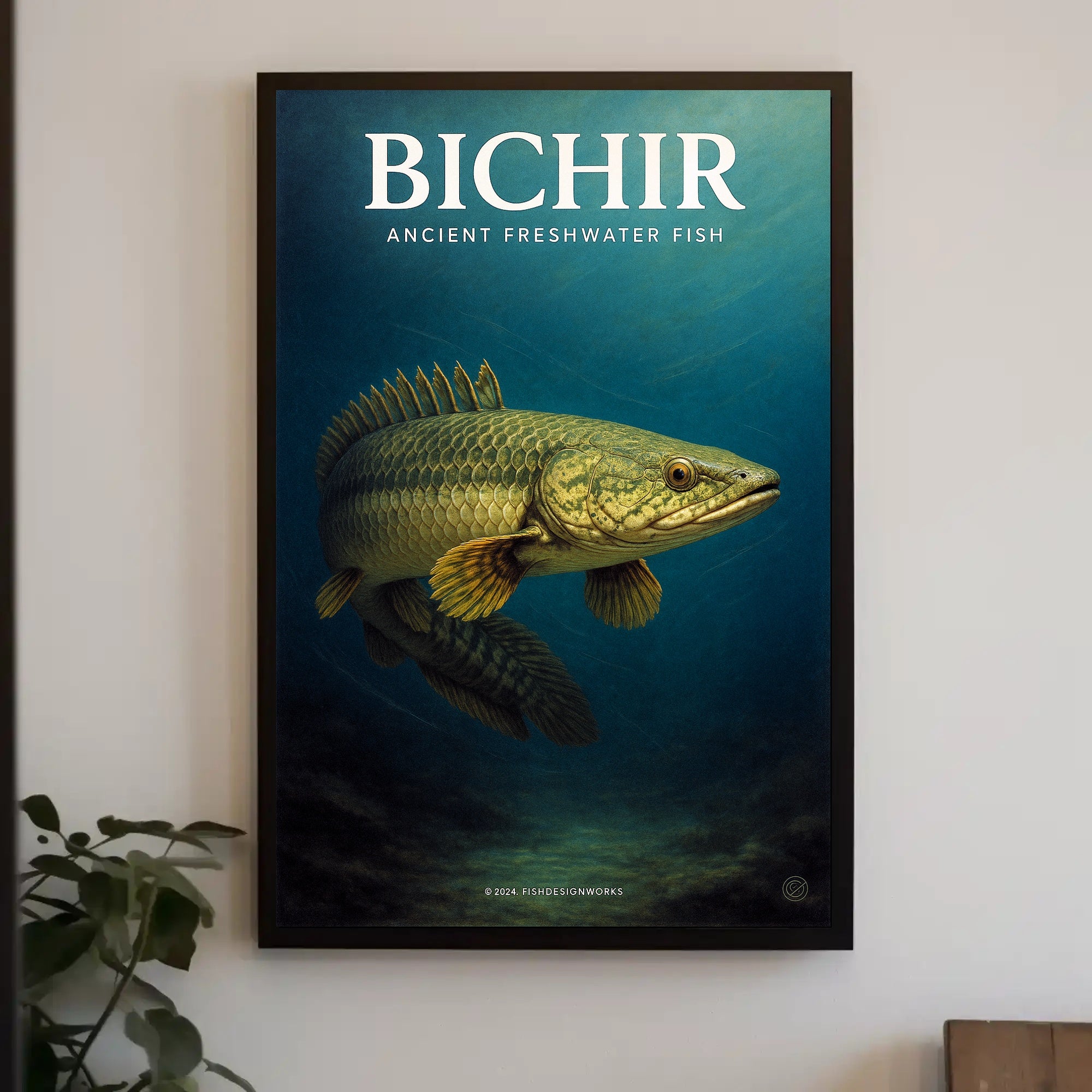 Bichir Ancient Freshwater Fish Poster PosterGoat