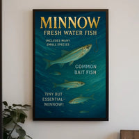Minnow Essential Freshwater Fish Poster