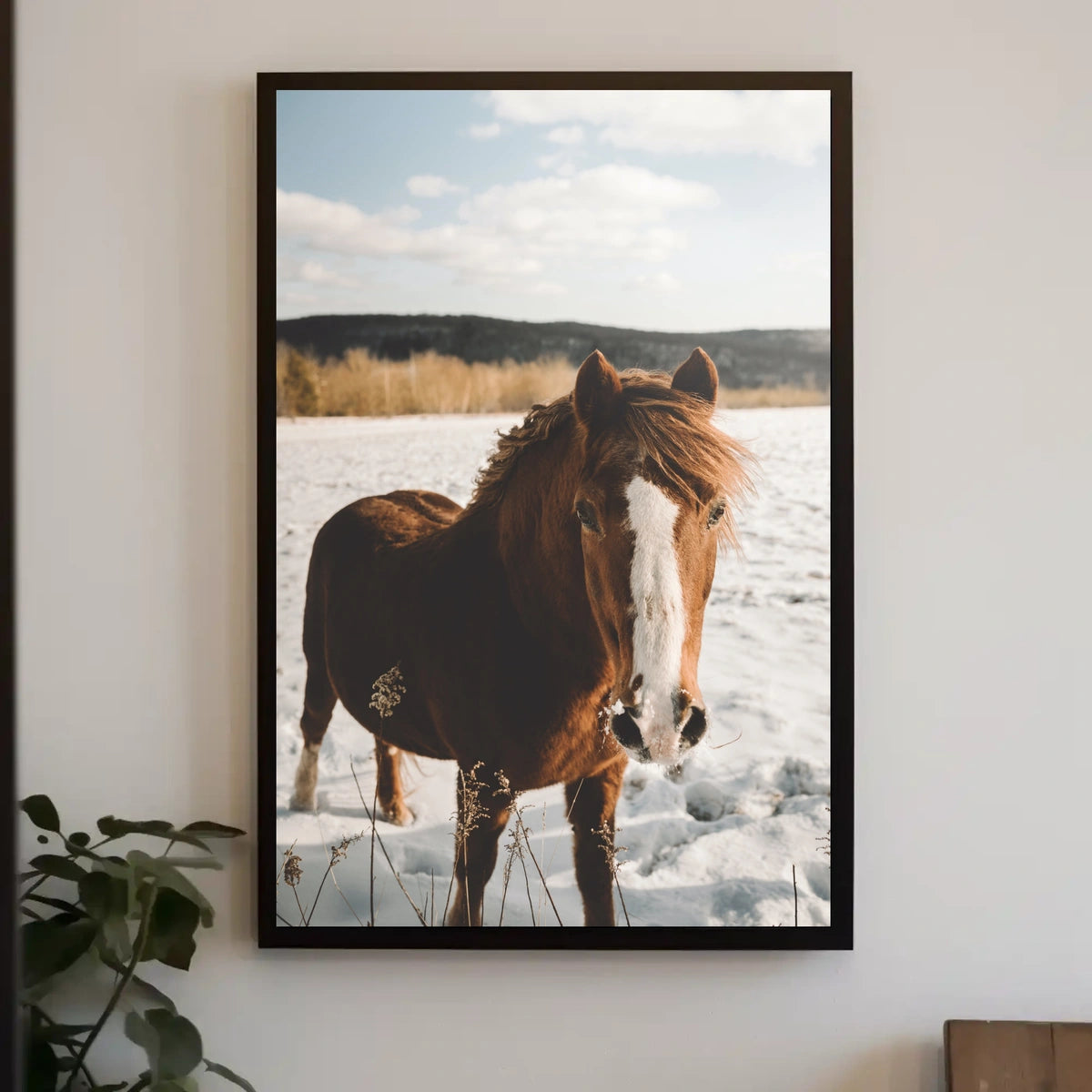 Winter Horse in the Snow Poster