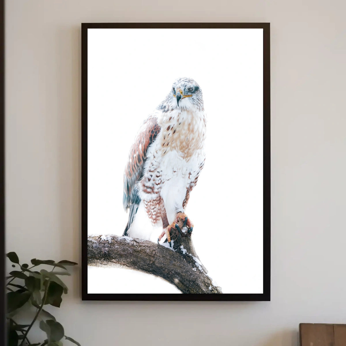 Majestic Hawk On A Snowy Branch Poster