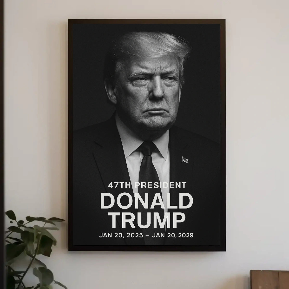 Donald Trump 47th President Poster