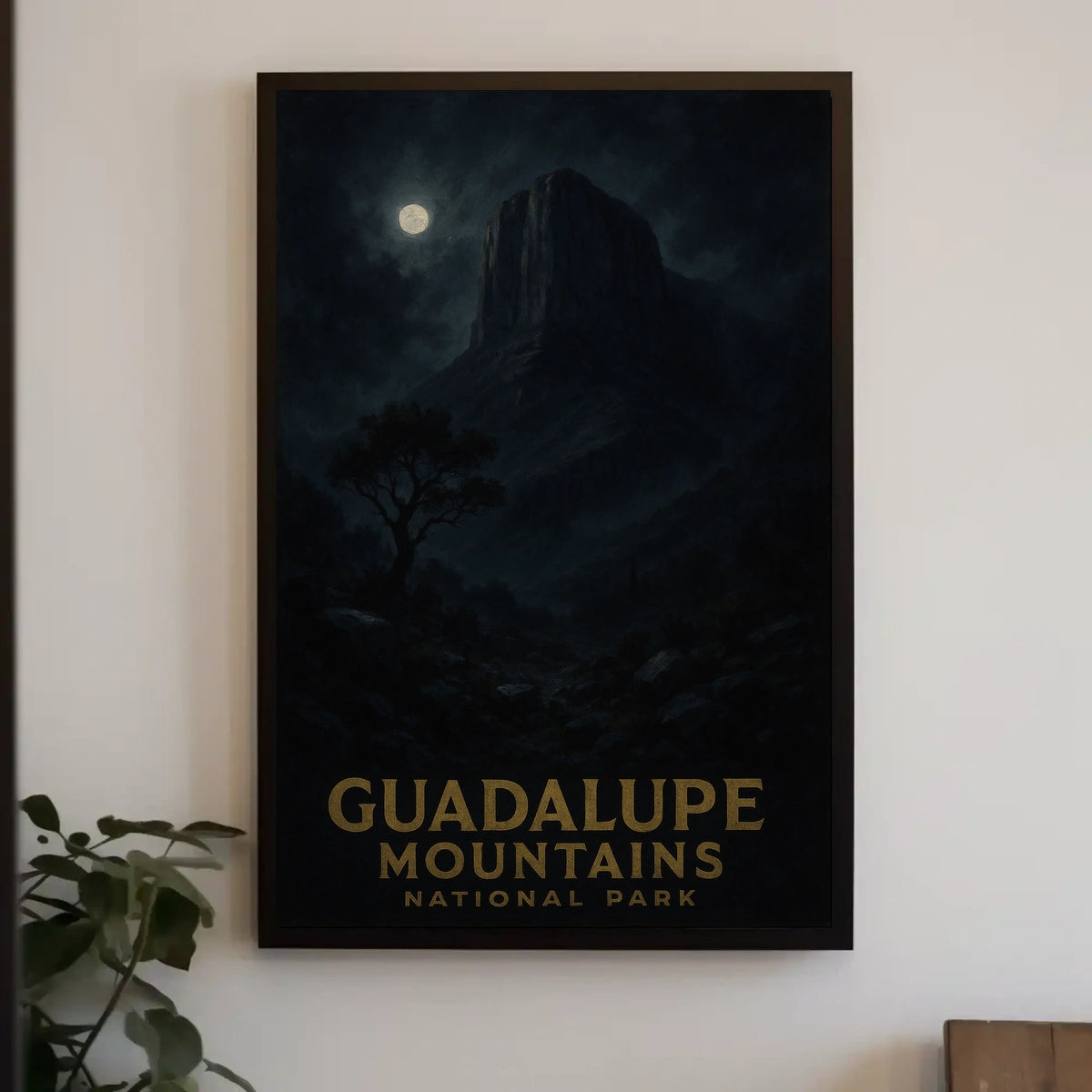 Guadalupe Mountains National Park Poster