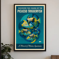 Discover the Charm of the Picasso Triggerfish Poster