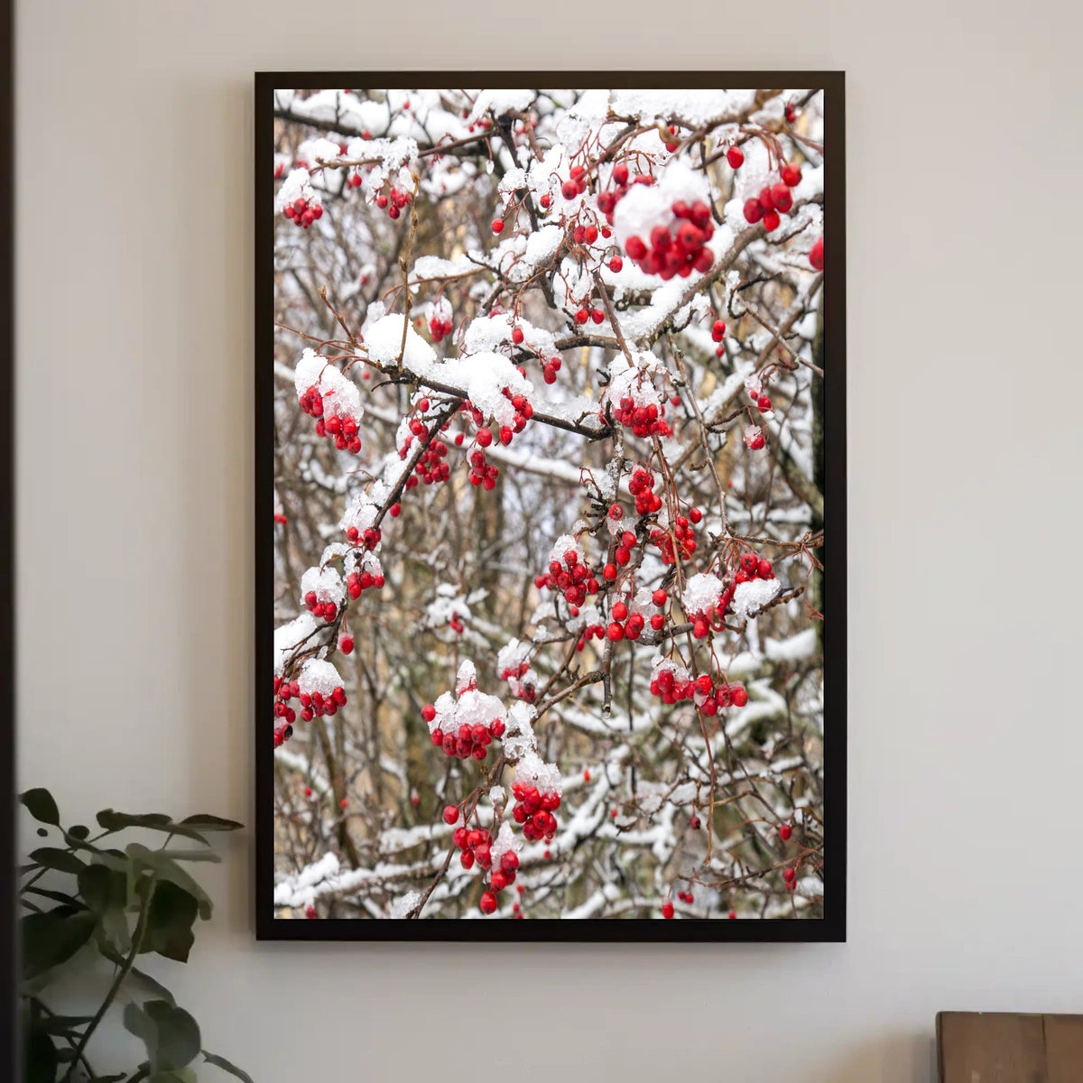 Wintry Red Berries Artwork - Abstract or Artistic Poster