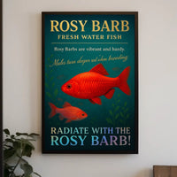 Rosy Barb Freshwater Fish Poster