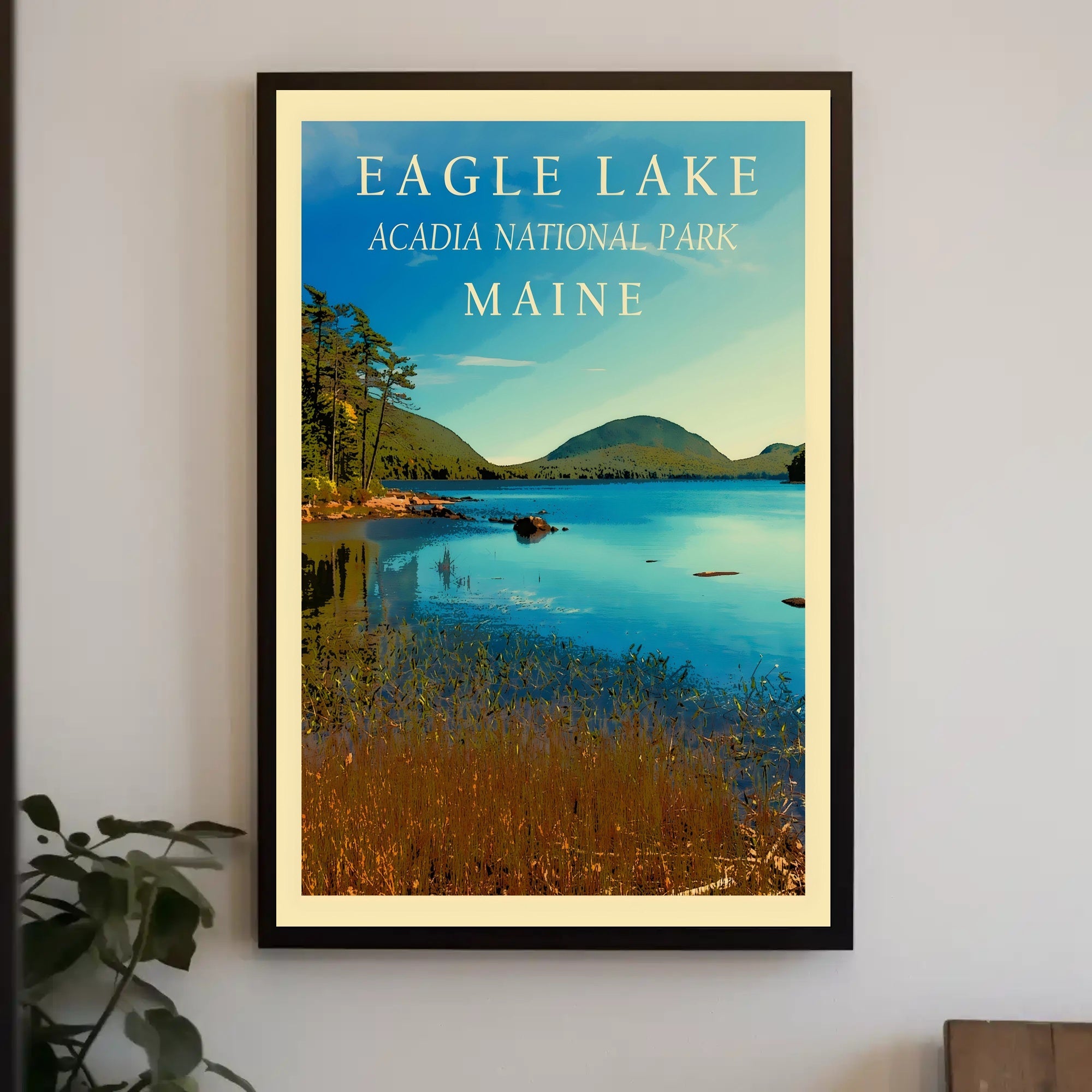 Eagle Lake Scenic View National Park Poster